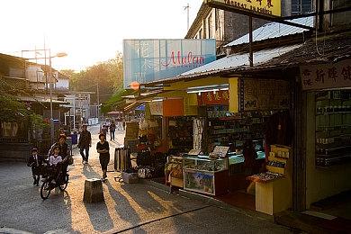 《宝可梦：Pokopia》官宣实时季节与岛屿作客功能