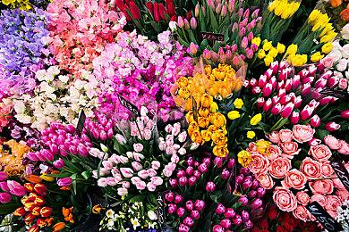 《High On Life》全新DLC Steam页面 10月发售